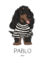 Pabloandco logo