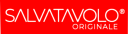 Salvaparquet logo