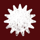 raīz unique objects logo