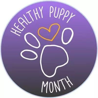 Revival Animal Health logo