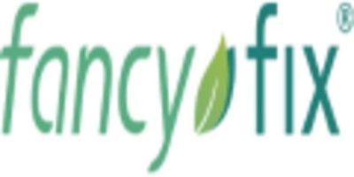 Fancy Fix logo