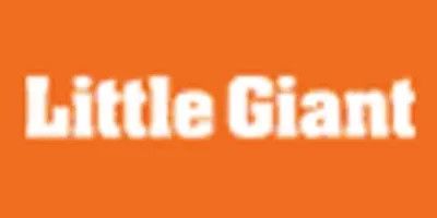 Little Giant Ladder logo