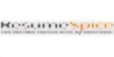 ResumeSpice logo