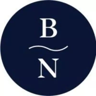 Blue Nile AU logo