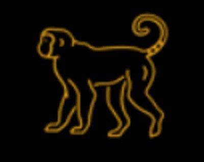 Patimonki logo
