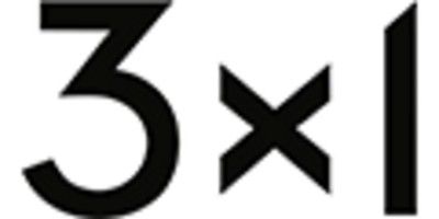 3x1 NYC logo