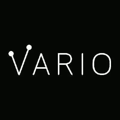 VARIO logo