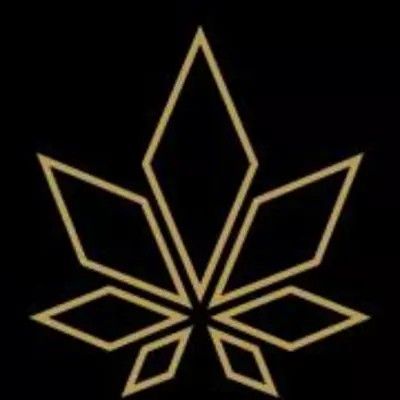 Lady Mary logo