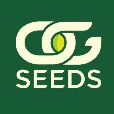 OG Seeds logo