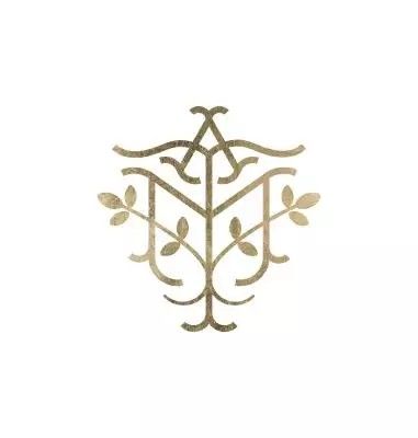 All Moringa logo
