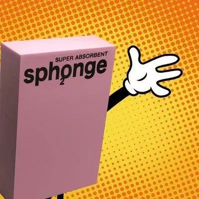 Sph2onge logo