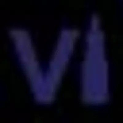 Viraldine logo