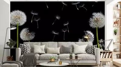 Tip Top Home Decor logo