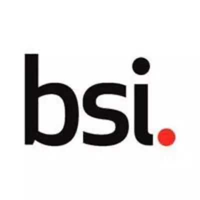 The British Standards Institution logo
