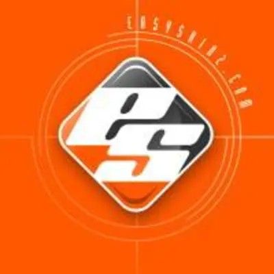 Qskinz logo