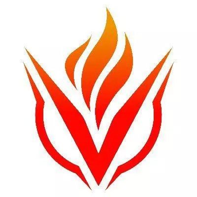 Vigor Labs logo