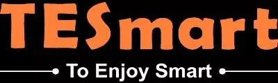 TESmart logo
