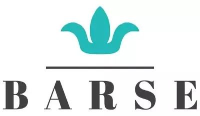 Barse Jewelry logo