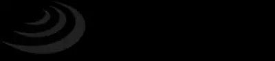 Serious Detecting logo