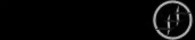 Skinade logo