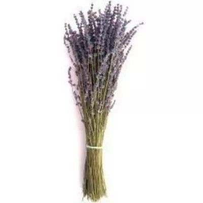 Lavender World logo