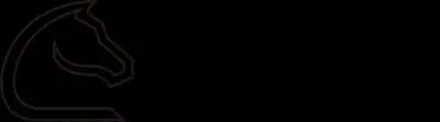 Chessnut logo